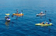 Kanjac Kayak Fishing Duo in Cavtat