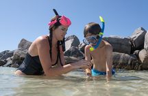 Private Crab Island, Snorkeling, and Dolphin Cruise in Shalimar