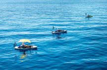 Kanjac Kayak Fishing Cavtat