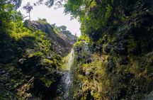 Private Tour through the Chicaque Natural Park and Forest of Fog