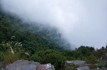 Private Tour through the Chicaque Natural Park and Forest of Fog