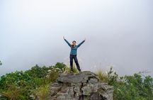 Private Tour through the Chicaque Natural Park and Forest of Fog