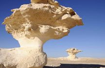 Egypt Magic Black and White Desert