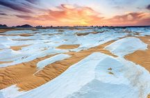 Egypt Magic Black and White Desert