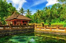 1-Day Ubud Tours All-Inclusive