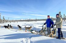Winter Dog Sled Tour: Day or Night.