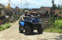 Bali Quad and Buggy Discovery Tour, Including Round-Trip Transfer
