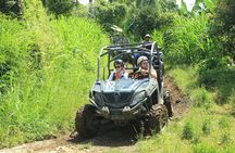 Quad or Buggy Tour with Canyon Tubing Adventure in Bali