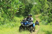 Bali Quad and Buggy Discovery Tour, Including Round-Trip Transfer