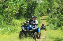Bali Quad and Buggy Explorer Tour