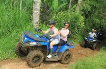 Bali Quad and Buggy Explorer Tour