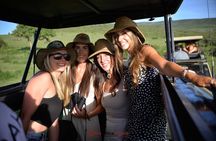 3 Days Masai Mara Chui Resort Tour from Nairobi 