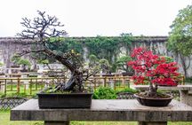 Full-Day Private Suzhou and Tongli Tour by Bullet Train 
