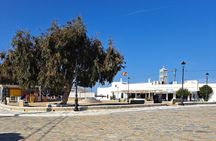 Mykonos island tour in small group up to 11 people.