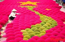 Incense Village Private Tour from Hanoi to Ninh Binh Old Capital