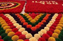 Incense Village Private Tour from Hanoi to Ninh Binh Old Capital