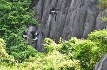 Full-Day Cuc Phuong National Park Hiking Tour