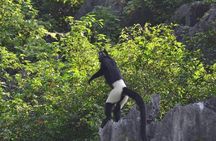 Full-Day Cuc Phuong National Park Hiking Tour
