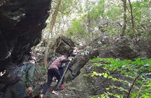 Full-Day Cuc Phuong National Park Hiking Tour