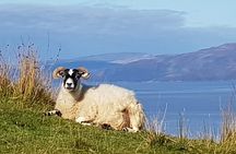 Bespoke Private Tours of Scotland and the Borders
