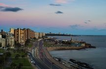 Montevideo Custom Private Walking Tour With A Local Guide