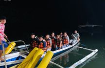 Puerto Princesa Jungle River Firefly Watching