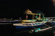 Puerto Princesa Jungle River Firefly Watching