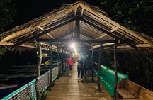 Puerto Princesa Jungle River Firefly Watching