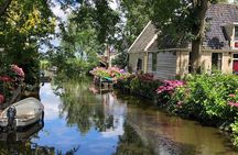 E-bike Tour with Picnic in the Amsterdam Wetlands small group