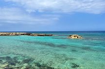 Guided snorkeling trip to the turtles in Protaras
