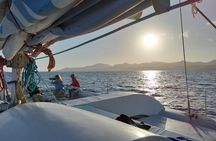 Small Group Dolphin Sunset Tour on Electric Catamaran Lanzarote