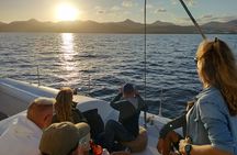 Small Group Dolphin Sunset Tour on Electric Catamaran Lanzarote