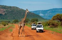 1 Day Tsavo East Safari Trip From Mombasa or Diani
