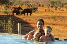 Overnight Safari to Tsavo East National Park from Mombasa/Diani