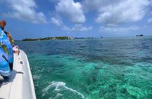 Sport Boat: Rosario Island, lunch on private island, Cholon & Baru