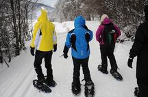 Ushuaia: White Adventure in sleighs with Huskys