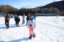 Ushuaia: White Adventure in sleighs with Huskys