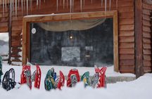 Ushuaia: White Adventure in sleighs with Huskys