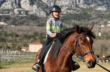 Private Horseback Riding and Family Time in Konavle Region 