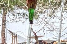 Hydro Dipped Hummingbird Feeder