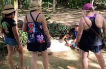 Muyil Ruins Tour (Private, Half Day)