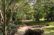 Muyil Ruins Tour (Private, Half Day)