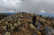 Hiking Chingaza Páramo, Siecha Lagoons