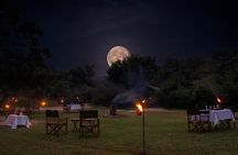 Glamping Safari Bordering Udawalawe National Park 