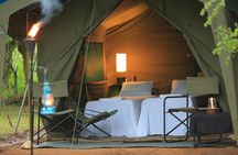 Glamping Safari Bordering Udawalawe National Park 