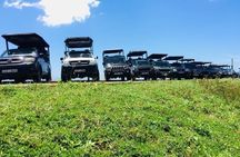 Private Safari Tour in Udawalawe National Park