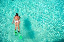 3-stop Adventure: Stingray City and snorkeling at Cayman Reefs