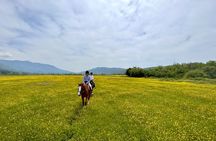 Horseback Riding Across River Ljuta with transport 