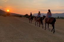 Horseback Riding Across River Ljuta with transport 