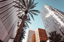 Private tour of Phoenix